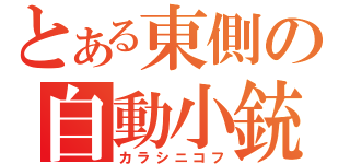 とある東側の自動小銃（カラシニコフ）