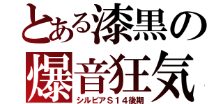 とある漆黒の爆音狂気（シルビアＳ１４後期）