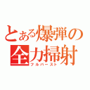 とある爆弾の全力掃射（フルバースト）