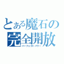 とある魔石の完全開放（パーフェクトパワー）