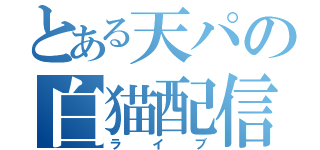 とある天パの白猫配信（ライブ）