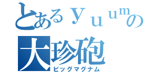 とあるｙｕｕｍａの大珍砲（ビッグマグナム）