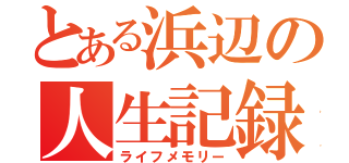 とある浜辺の人生記録（ライフメモリー）