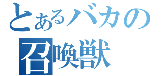 とあるバカの召喚獣（）