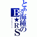 とある海種のＢ★ＲＳ（ブラック★ロックシューター）