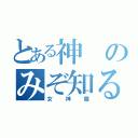 とある神のみぞ知るセカイ（女神篇）