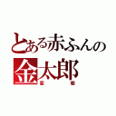 とある赤ふんの金太郎（変態）