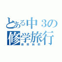 とある中３の修学旅行（感想新聞）