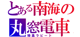 とある南海の丸窓電車（特急ラピート）