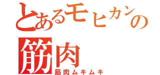 とあるモヒカンの筋肉（筋肉ムキムキ）