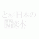 とある日本の唐変木（オリムラ・イチカ）