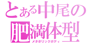 とある中尾の肥満体型（メタボリックボディ）