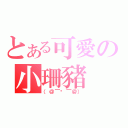 とある可愛の小珊豬（（＠￣︶￣＠））