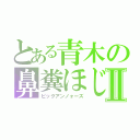 とある青木の鼻糞ほじりⅡ（ピックアンノォーズ）