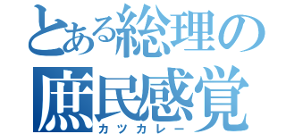 とある総理の庶民感覚（カツカレー）