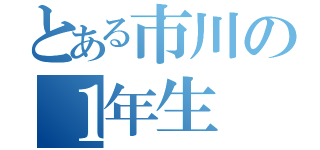 とある市川の１年生（）