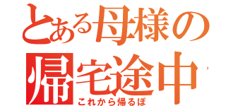 とある母様の帰宅途中（これから帰るぽ）