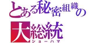 とある秘密組織の大総統（ショーハマ）