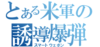 とある米軍の誘導爆弾（スマートウェポン）