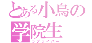 とある小鳥の学院生（ラブライバー）