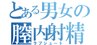 とある男女の膣内射精（ラブシュート）