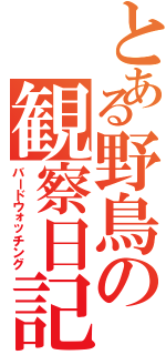とある野鳥の観察日記（バードウォッチング）