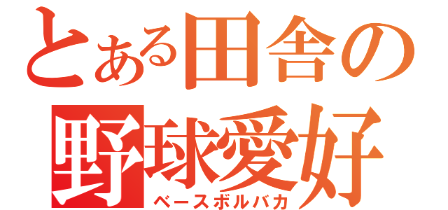 とある田舎の野球愛好（ベースボルバカ）