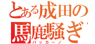 とある成田の馬鹿騒ぎ（バッカーノ）