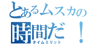 とあるムスカの時間だ 答えを聞こう タイムミリット とある櫻花の画像生成