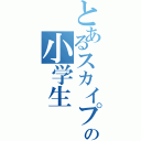 とあるスカイプの小学生（　　　　）