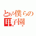 とある僕らの甲子園（新島）