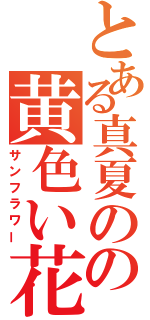 とある真夏のの黄色い花（サンフラワー）