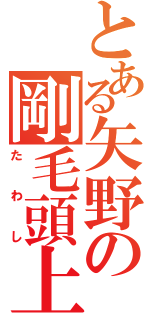 とある矢野の剛毛頭上（たわし）