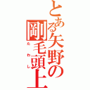 とある矢野の剛毛頭上（たわし）