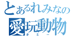 とあるれみなの愛玩動物（タミー）