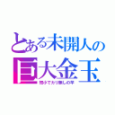 とある未開人の巨大金玉（短小でカリ無しの竿）