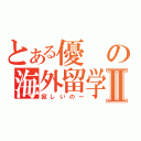 とある優の海外留学Ⅱ（寂しいの～）