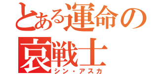 とある運命の哀戦士（シン・アスカ）