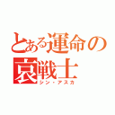 とある運命の哀戦士（シン・アスカ）