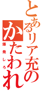 とあるリア充のかたわれ（爆 発 し ろ）