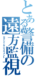 とある警備の遠方監視（セクシャルハラスメント）