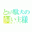 とある駄犬の飼い主様（黒子っち）