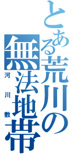 とある荒川の無法地帯（河川敷）