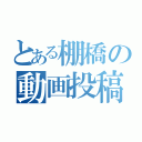 とある棚橋の動画投稿（）