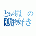 とある嵐の動物好き（相葉）