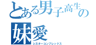 とある男子高生の妹愛（シスターコンプレックス）