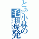 とある小林の毛根爆発（ハイパーテンパ）