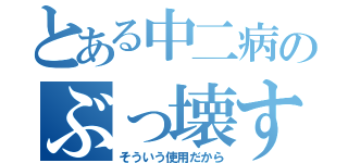 とある中二病のぶっ壊す宣言（そういう使用だから）