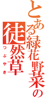 とある緑花野菜の徒然草（つぶやき）