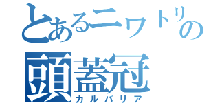 とあるニワトリの頭蓋冠（カルバリア）